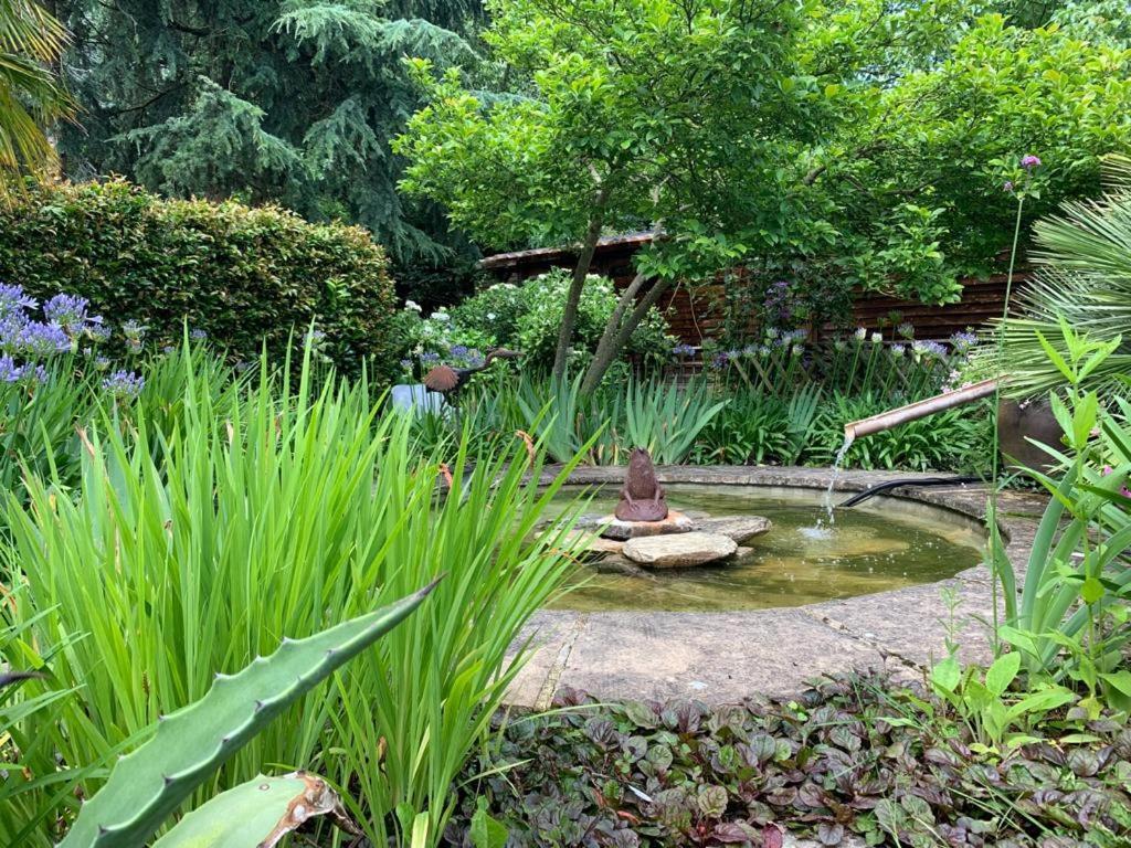 Maison En Pierre Dans Son Nid De Verdure Roz-Landrieux Zewnętrze zdjęcie