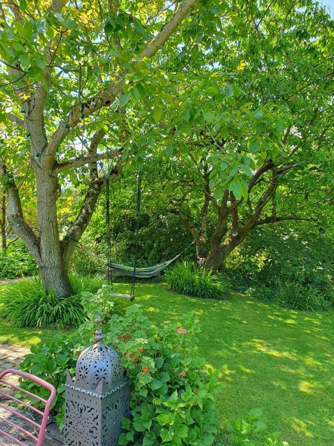 Maison En Pierre Dans Son Nid De Verdure Roz-Landrieux Zewnętrze zdjęcie