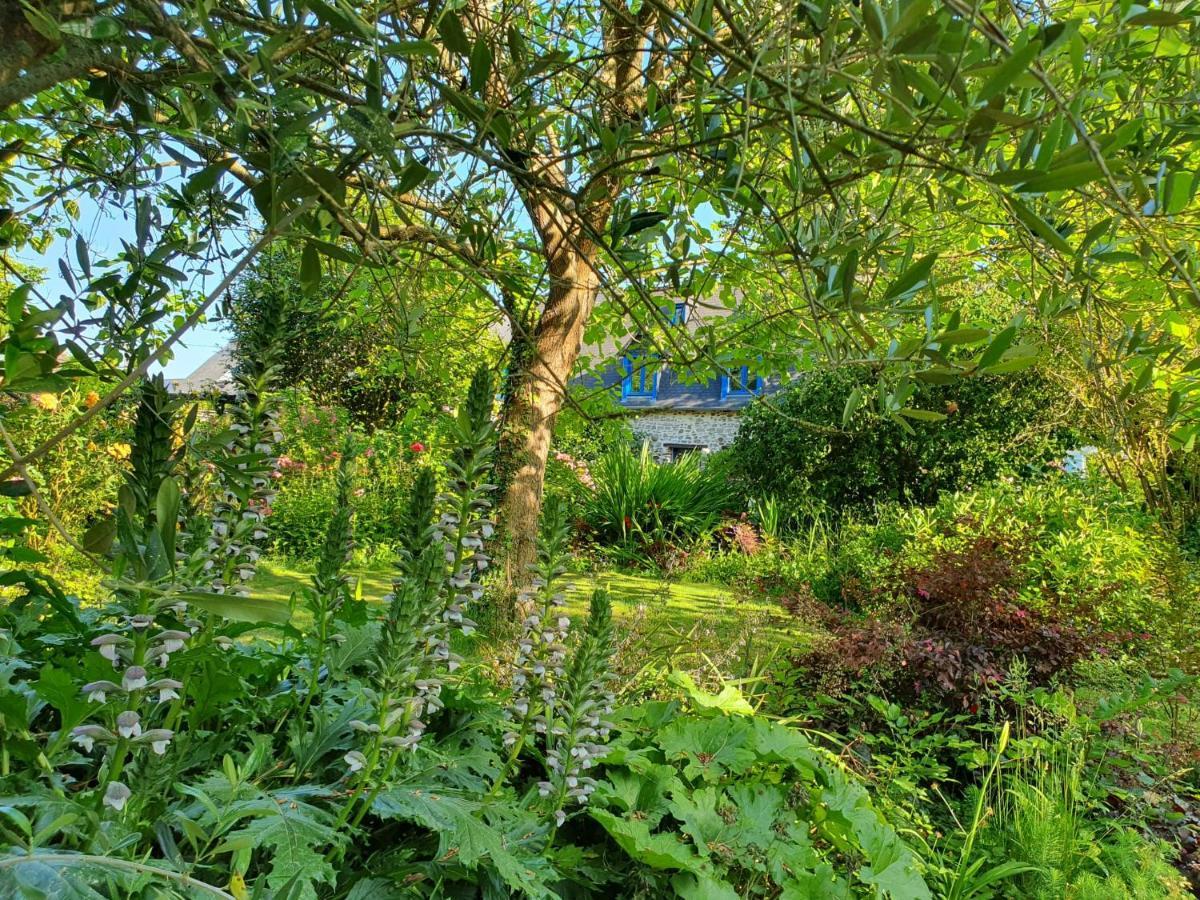 Maison En Pierre Dans Son Nid De Verdure Roz-Landrieux Zewnętrze zdjęcie