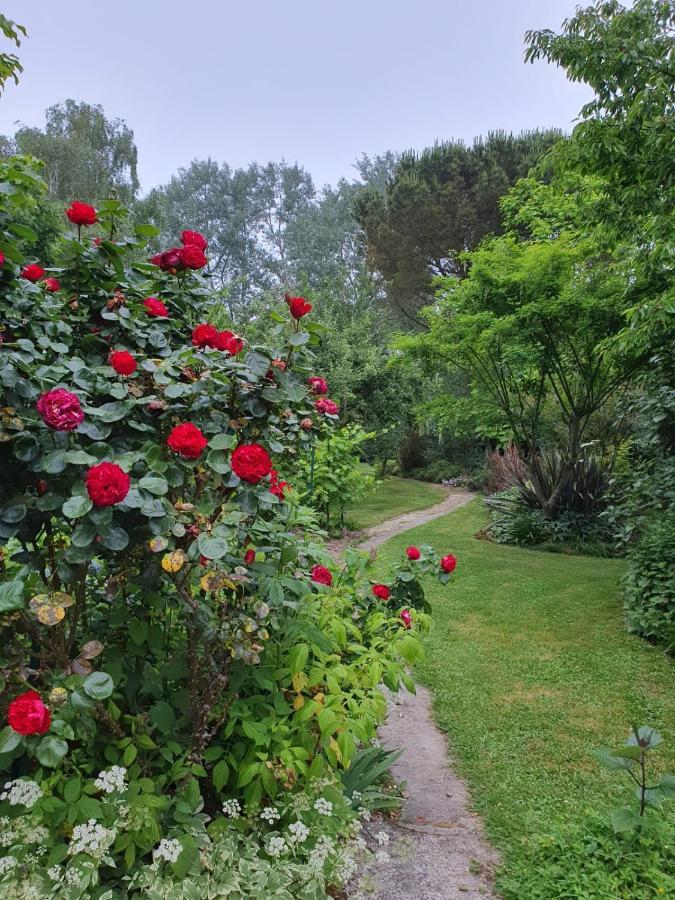 Maison En Pierre Dans Son Nid De Verdure Roz-Landrieux Zewnętrze zdjęcie