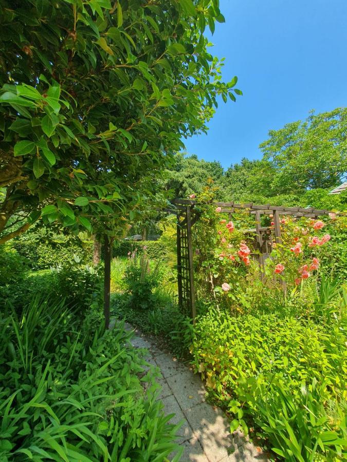Maison En Pierre Dans Son Nid De Verdure Roz-Landrieux Zewnętrze zdjęcie